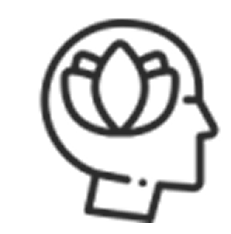 icon1